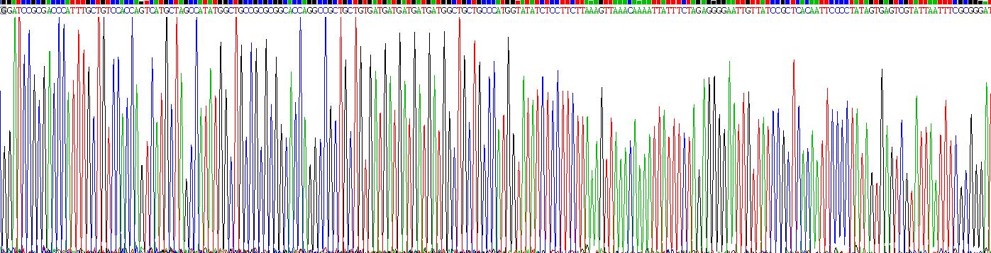 Gene Sequencing (extract)