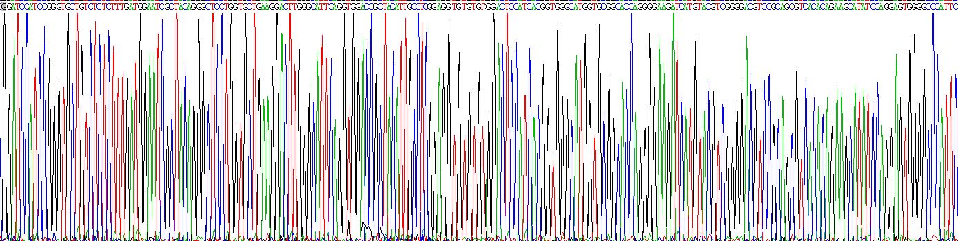 Gene Sequencing (extract)