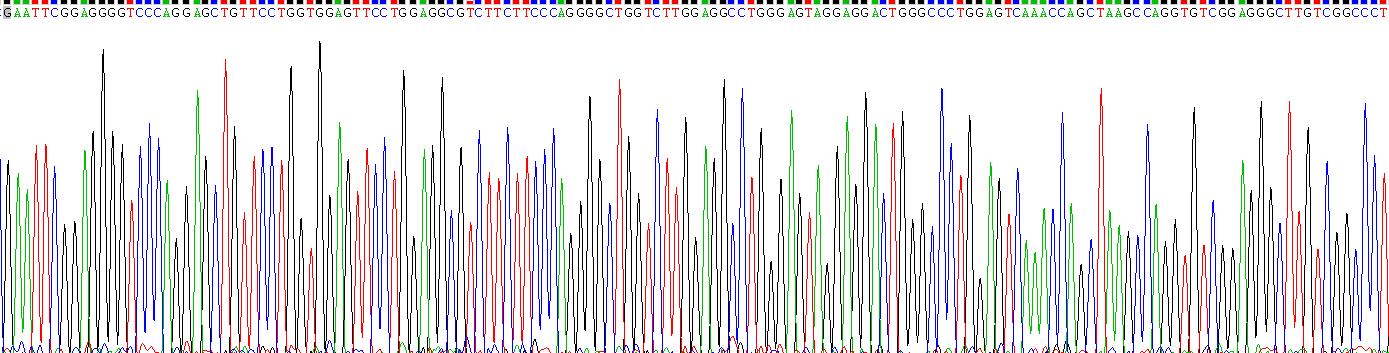 Gene Sequencing (extract)