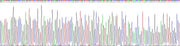 Gene Sequencing (extract)