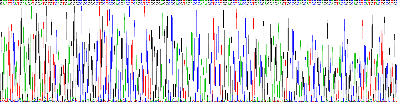 Gene Sequencing (extract)