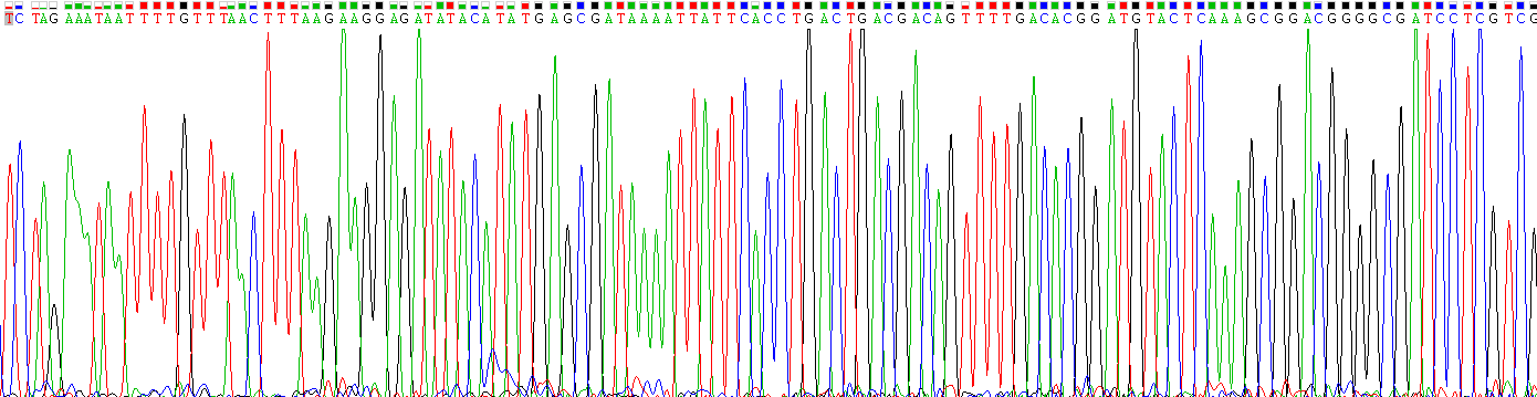Gene Sequencing (extract)