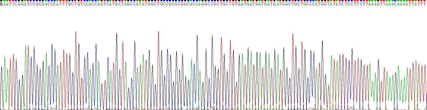 Gene Sequencing (extract)