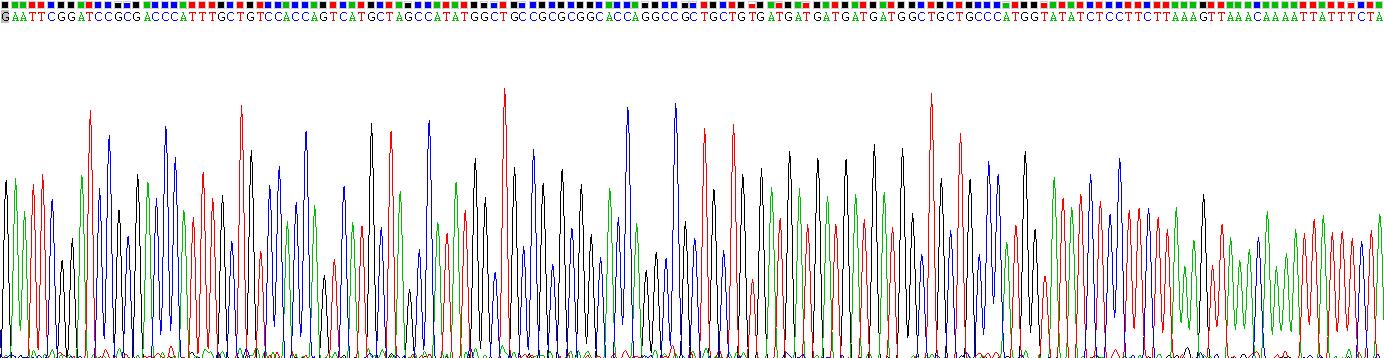 Gene Sequencing (extract)