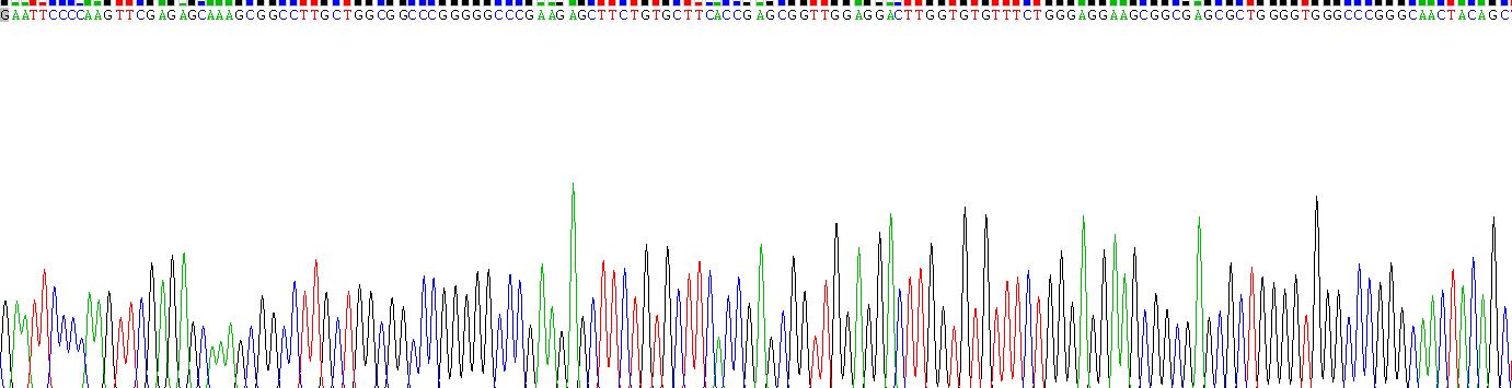 Gene Sequencing (extract)