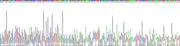 Gene Sequencing (extract)