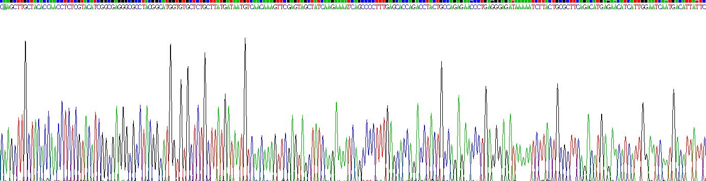Gene Sequencing (extract)