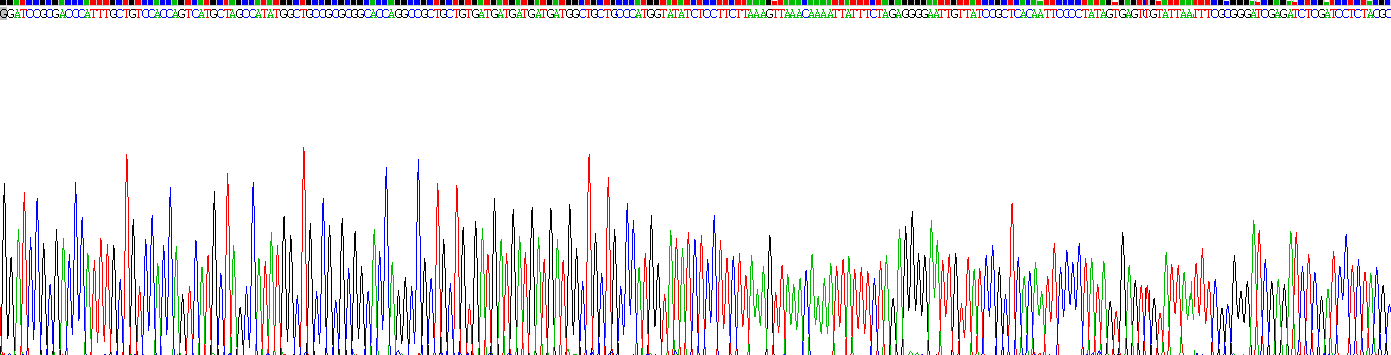 Gene Sequencing (extract)