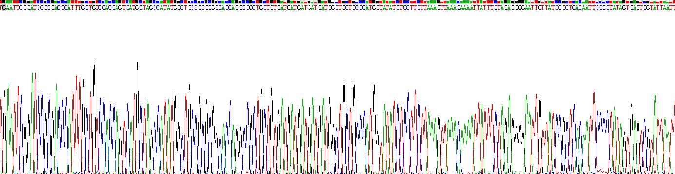 Gene Sequencing (extract)