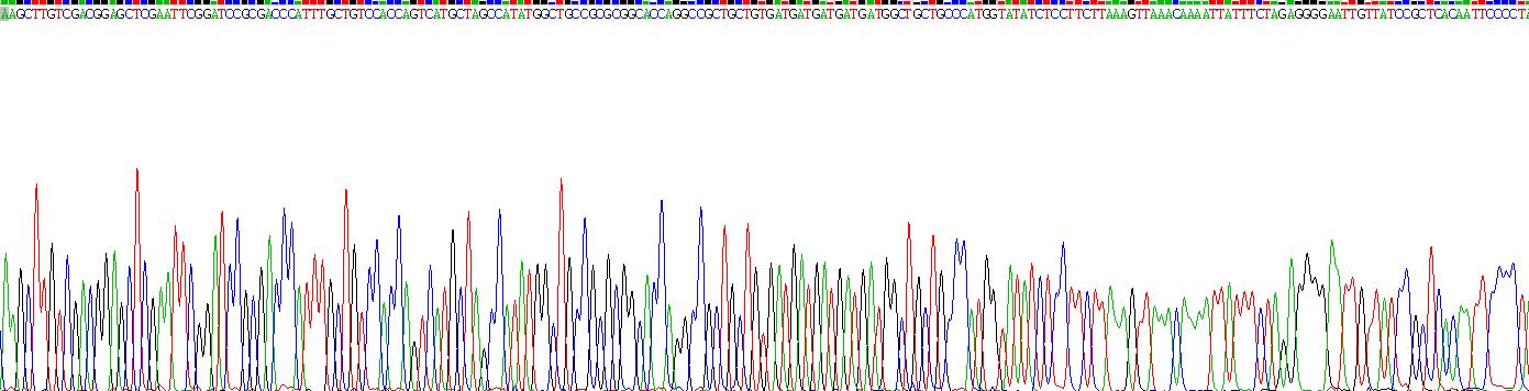 Gene Sequencing (extract)