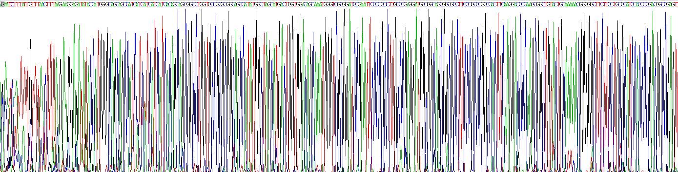 Gene Sequencing (extract)
