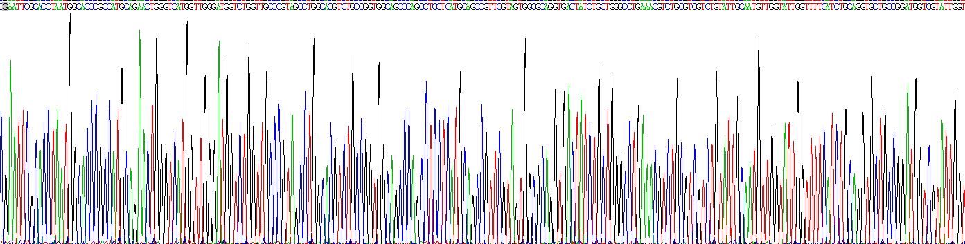 Gene Sequencing (extract)