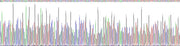 Gene Sequencing (extract)