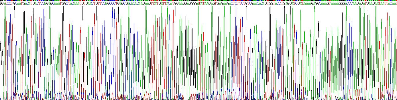 Gene Sequencing (extract)