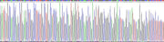 Gene Sequencing (extract)