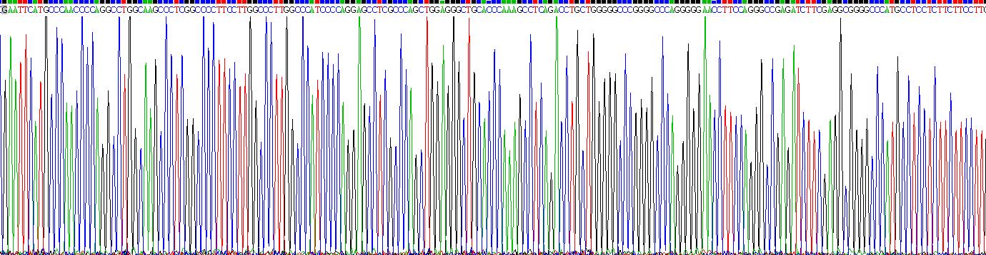 Gene Sequencing (extract)