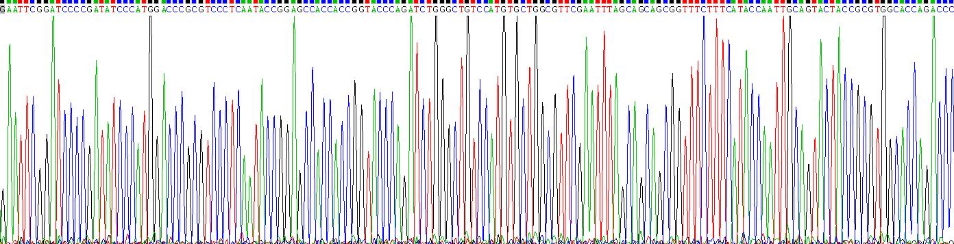 Gene Sequencing (extract)