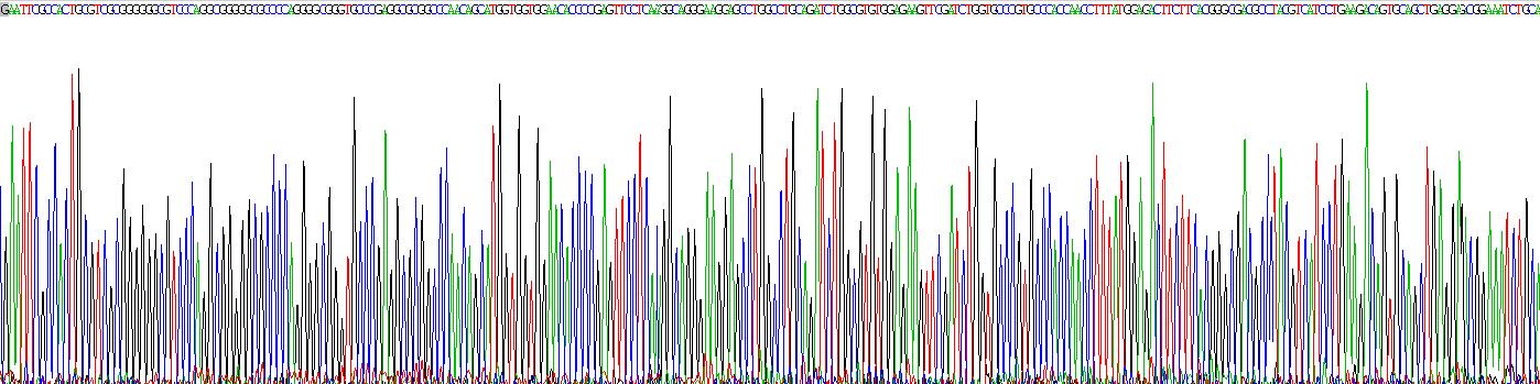 Gene Sequencing (extract)