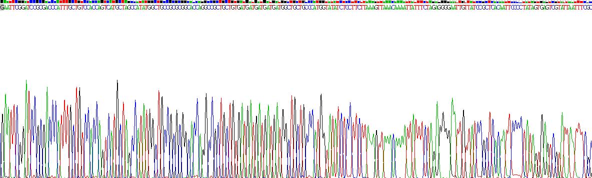 Gene Sequencing (extract)