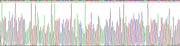 Gene Sequencing (extract)
