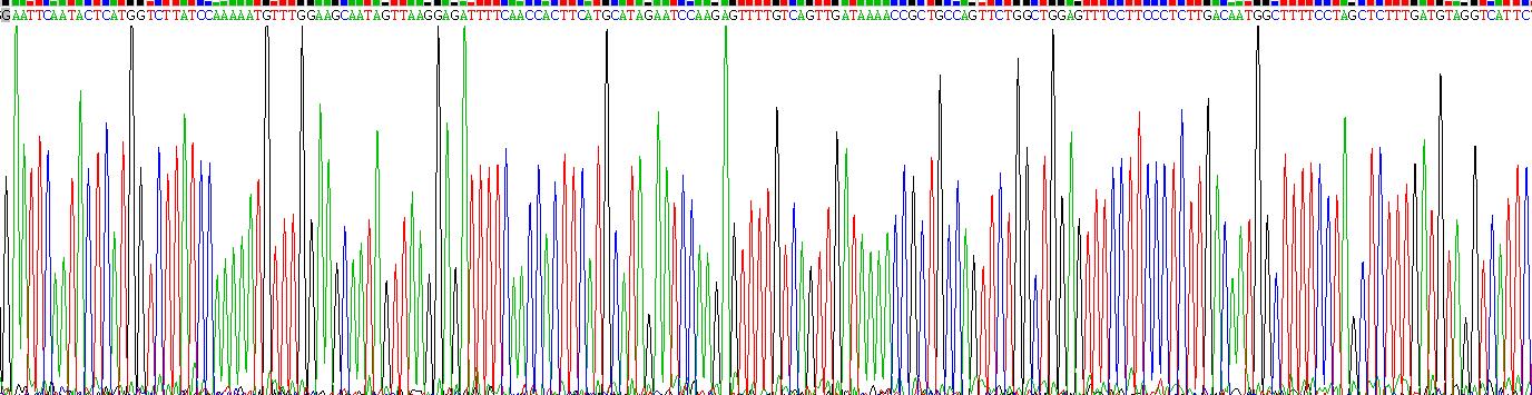 Gene Sequencing (extract)