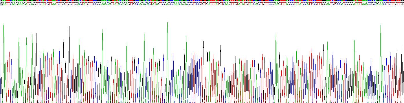 Gene Sequencing (extract)