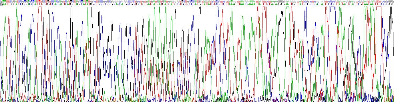 Gene Sequencing (extract)