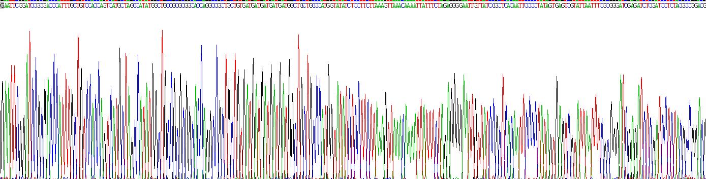 Gene Sequencing (extract)