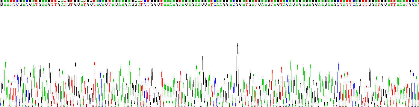 Gene Sequencing (extract)