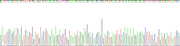 Gene Sequencing (extract)