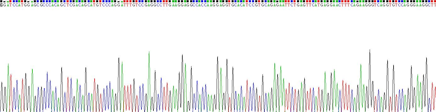 Gene Sequencing (extract)