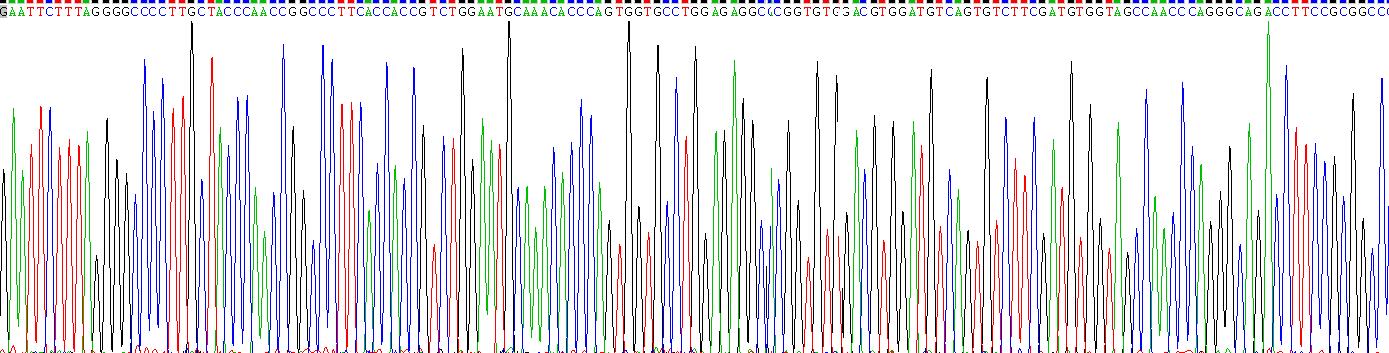 Gene Sequencing (extract)