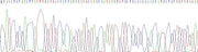 Gene Sequencing (extract)