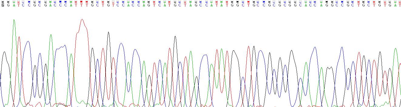 Gene Sequencing (extract)