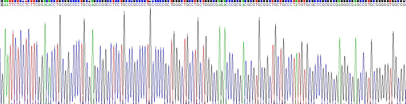 Gene Sequencing (extract)