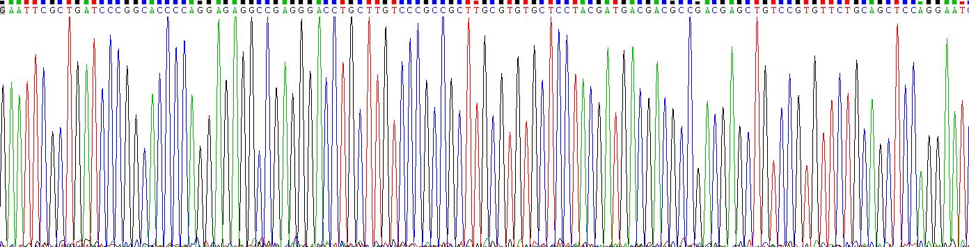 Gene Sequencing (extract)