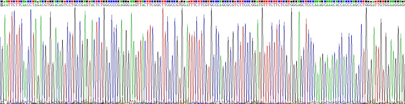 Gene Sequencing (extract)