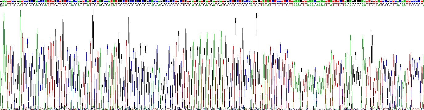 Gene Sequencing (extract)