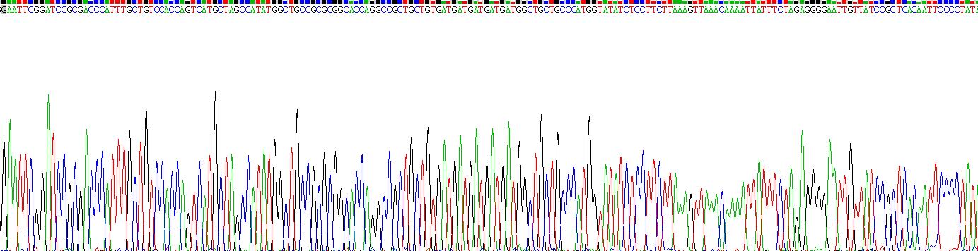 Gene Sequencing (extract)