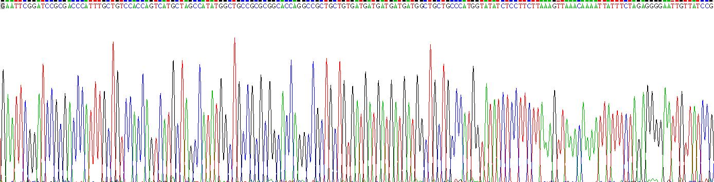 Gene Sequencing (extract)