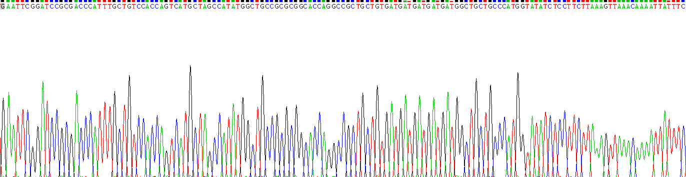 Gene Sequencing (extract)