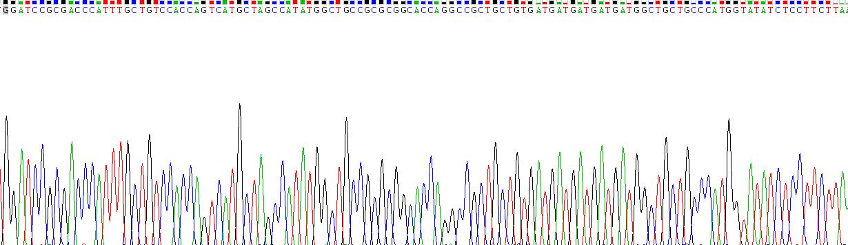 Gene Sequencing (extract)