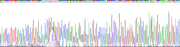 Gene Sequencing (extract)
