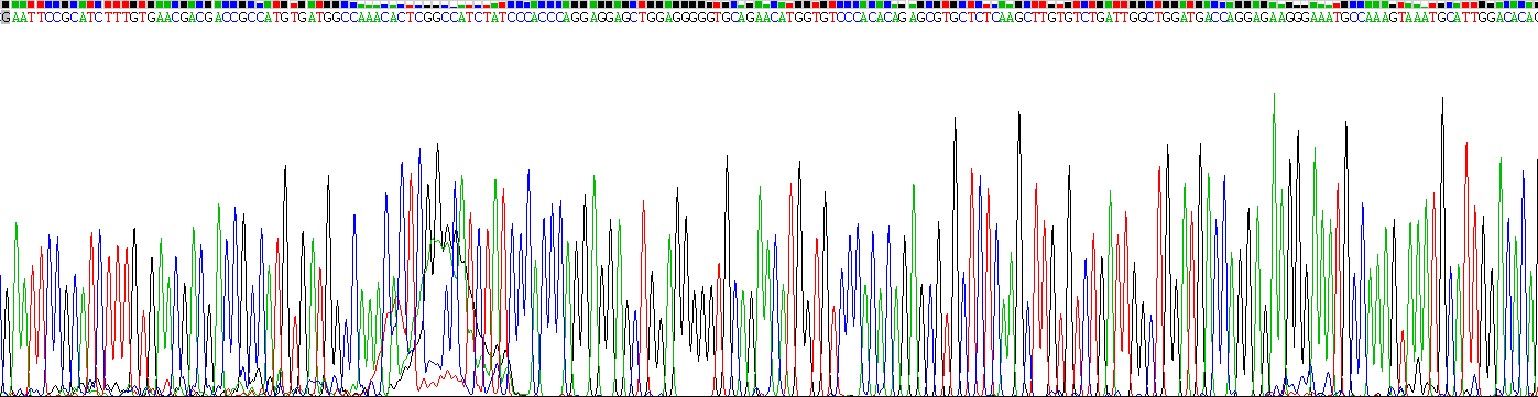 Gene Sequencing (extract)