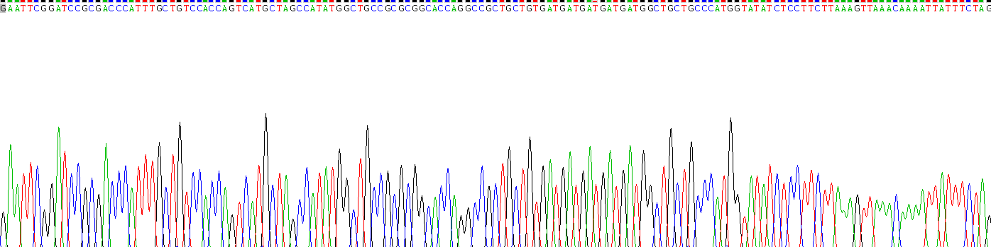 Gene Sequencing (extract)