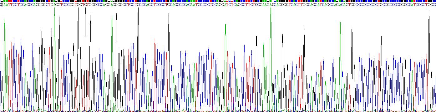 Gene Sequencing (extract)