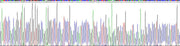 Gene Sequencing (extract)