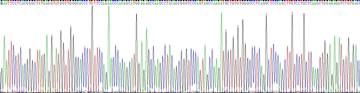 Gene Sequencing (extract)
