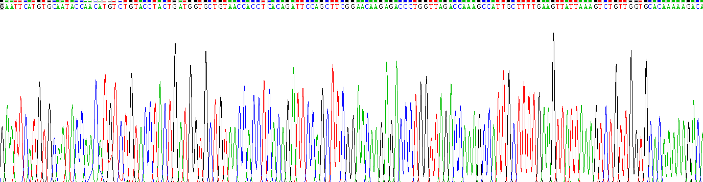 Gene Sequencing (extract)