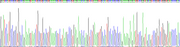 Gene Sequencing (extract)